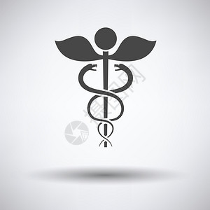 夏末蛇影灰色背景上的医学符号图标圆影插画
