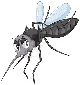 黑色插图中的野蚊子图片