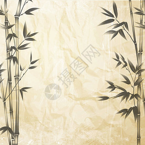 竹子画在旧纸上装饰的竹枝矢量图解背景图片