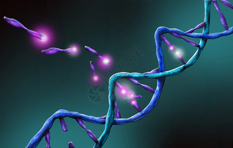 DNA螺旋链与传递的分子遗传科图片