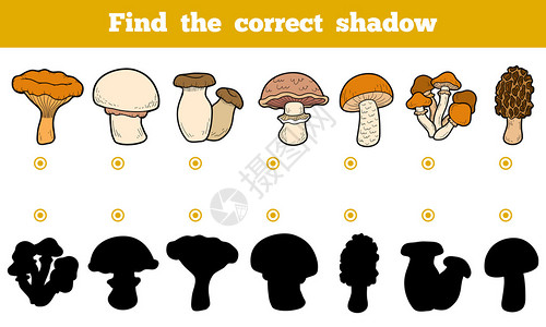波多利亚诺寻找正确的影子儿童教育游戏一套食用蘑插画