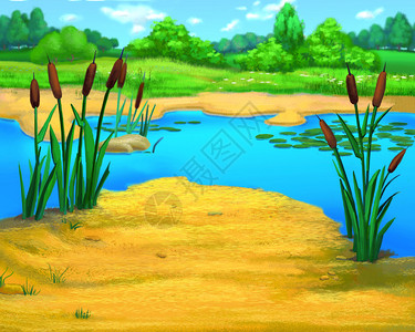 夏季河边的Reeds插图图片