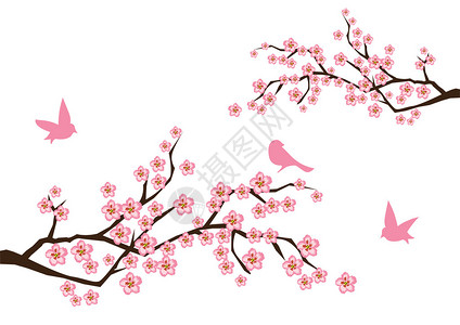 樱花背景与鸟的矢量图图片
