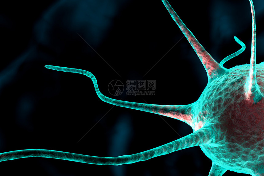 3d神经细胞图图片