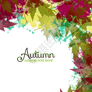 美丽多彩的秋叶背景图片