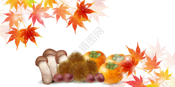 秋叶食背景图片