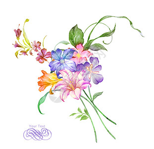 简单背景中的水彩插图花朵背景图片