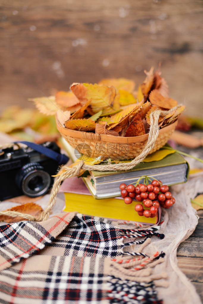 温暖的针织围巾和木托盘上的一本书宁静的秋天水果叶子橡子静物在秋天静物与一杯茶一杯茶图片