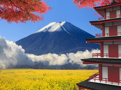 日本浅间神社与富士山三月日的富士山设计图片