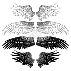以线形艺术风格绘制的翅膀图形收藏黑白颜色的矢量艺术为成人和儿童图片