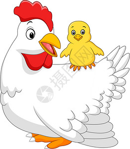 卡通母鸡及其小鸡的矢量图解背景图片