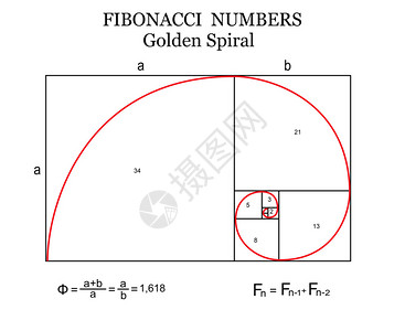 对数Fibonacci螺旋又称金螺旋插画
