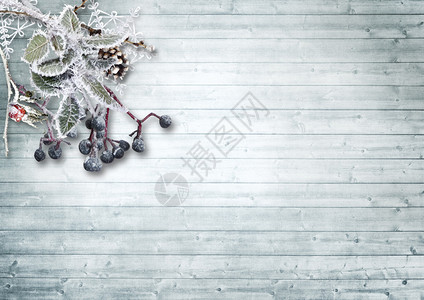 老式木制背景上的雪树枝和浆果图片