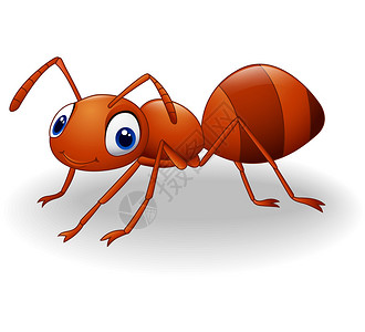 Cute蚂蚁图片