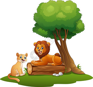 卡通狮子夫妇在丛林图片