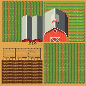 通过谷仓和作物插图对农田图片