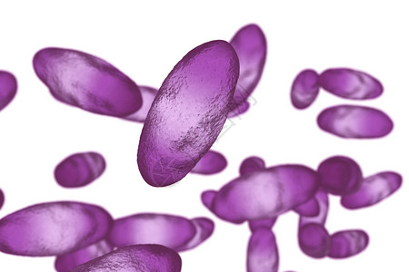 3D图例显示两极染色和细菌的无形状A白背景上隔设计图片