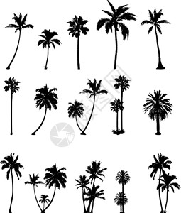 棕榈树剪影集合的插图图片