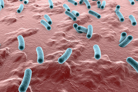 皮肤表面的细菌粘膜或肠道Esherichia大肠SalmonellaMycobactium结核病模型模拟电子显微背景图片