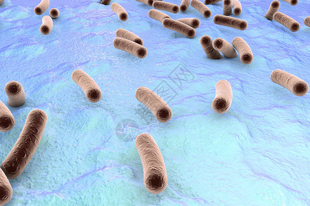 皮肤表面的细菌粘膜或肠道Esherichia大肠SalmonellaMycobactium结核病模型模拟电子显微背景图片