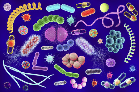 微生物图片