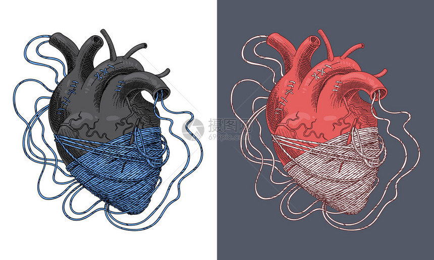 被线条缠绕的红心的典型化图片
