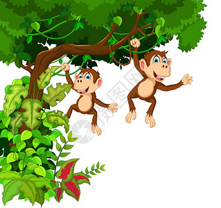 快乐的两只猴子卡通合页图图片