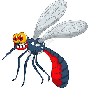 愤怒的蚊子卡通插图图片