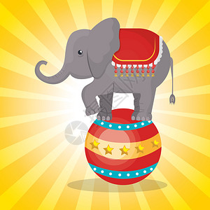 马戏团大象节展示黄色背景图片