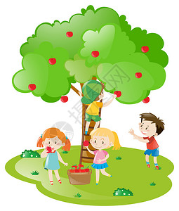 孩子们从苹果树插图中摘苹果图片