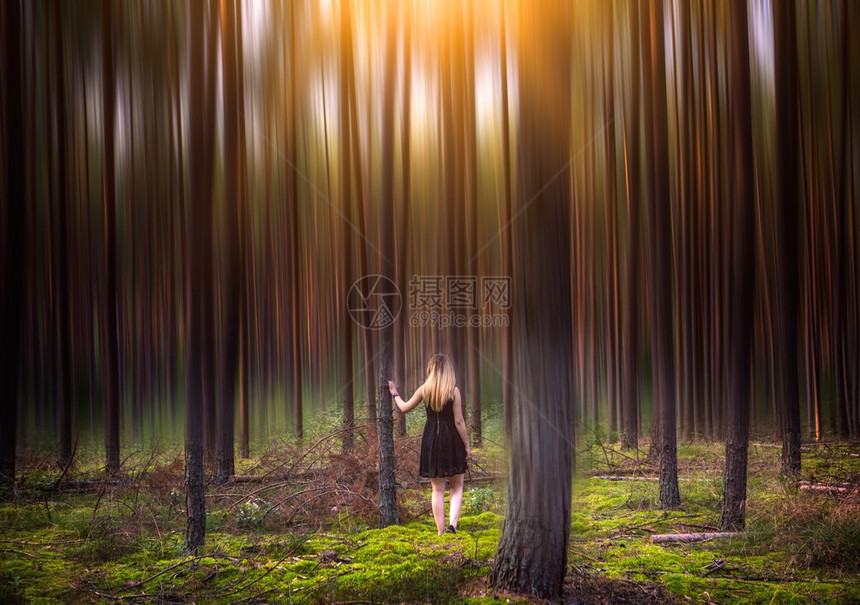 魔法森林中的年轻女子欧洲森林中金图片
