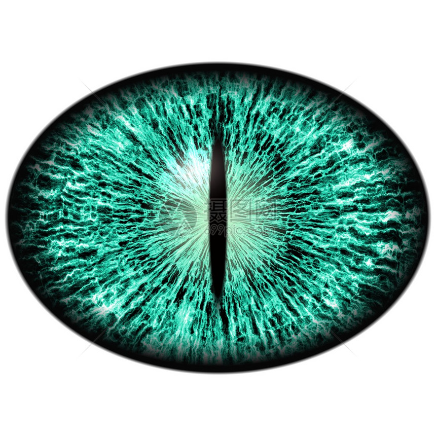 具有大瞳孔和明亮视网膜的绿色动物眼睛在背景中图片