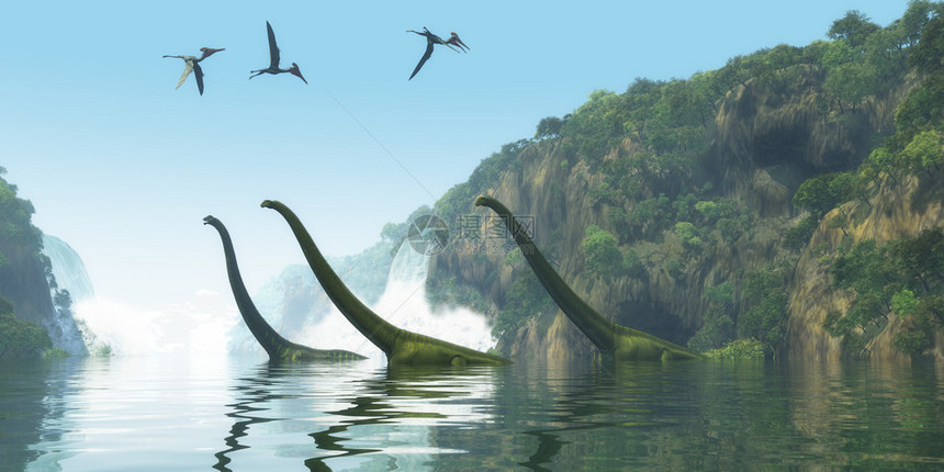 两只恐龙成年马门奇龙护送一个年轻人渡过一条河而Pterodactylus鸟图片
