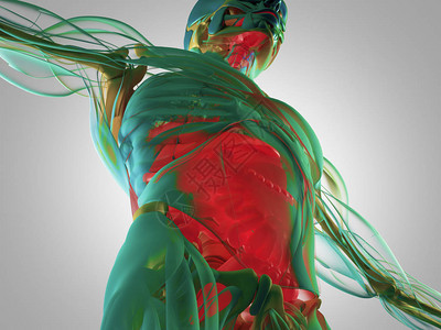 溃疡性消化系统解剖模型3d插图设计图片
