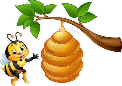 卡通蜜蜂和巢的矢量图解图片