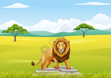 卡通狮子吉祥物的矢量插图图片