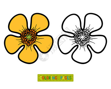 儿童彩色书籍花朵B图片