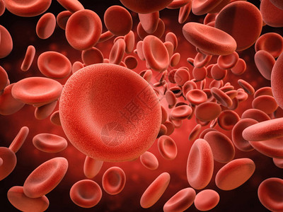 3d渲染静脉中的红细胞图片