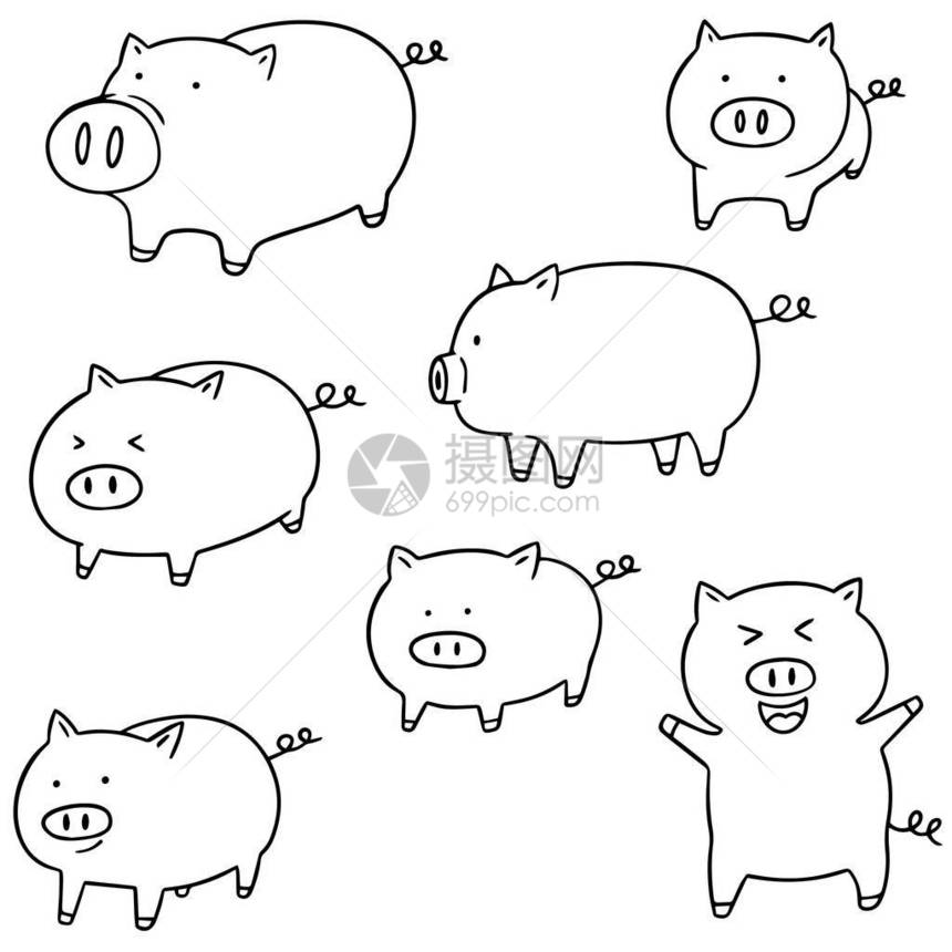 猪的矢量组图片