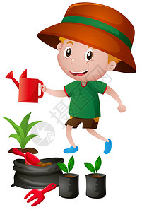 给植物浇水的小男孩插图图片