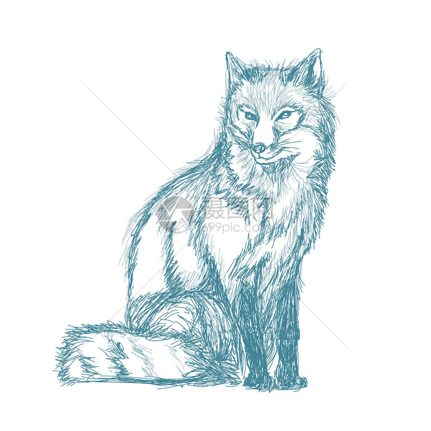 狐坐在草图中的蓝色陈年树状矢量插图图片