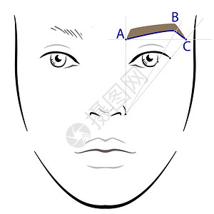 如何画眉毛矢量趋势化的图片