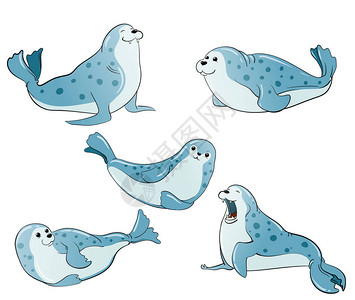 卡通蓝色斑海豹矢量手绘图示白色插画