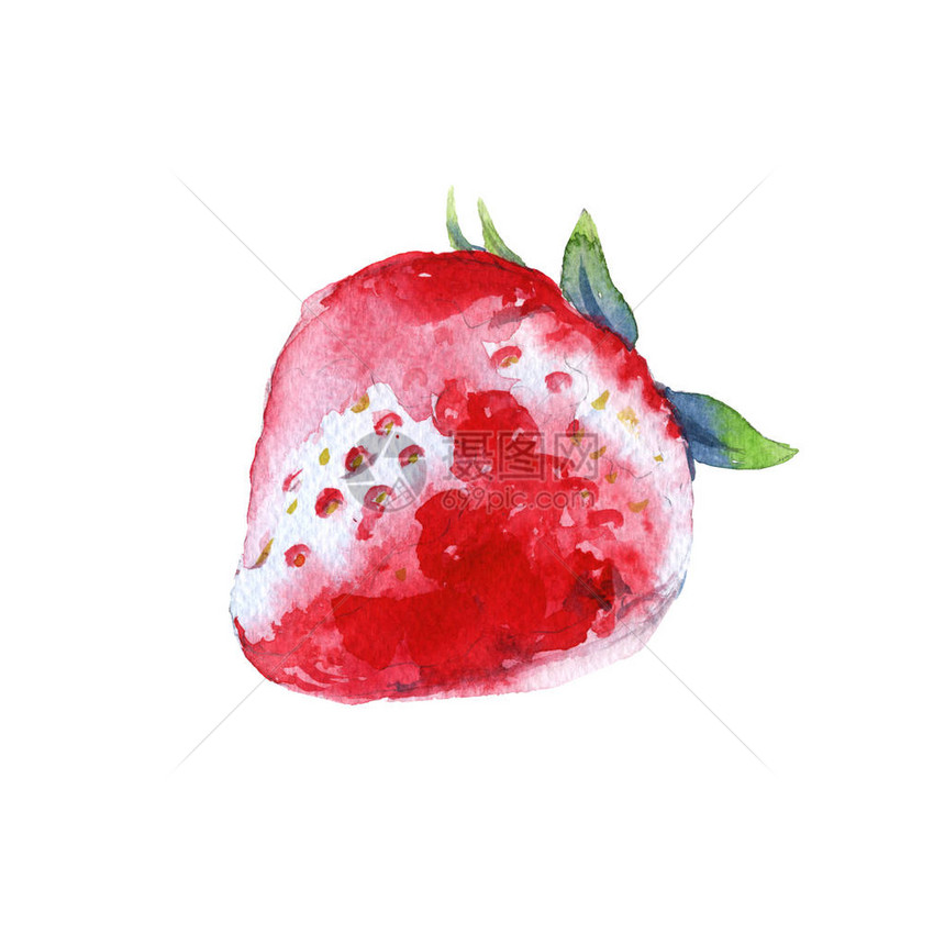 草莓森林浆果在白色背景上隔离水彩插图图片