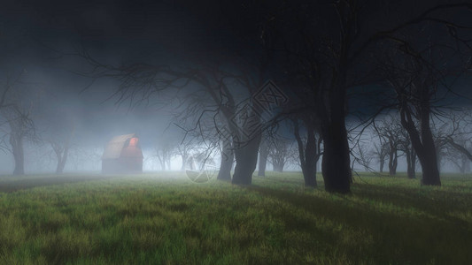 神秘的迷雾森林与图片
