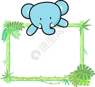白板上的可爱小大象竹子框白底孤图片