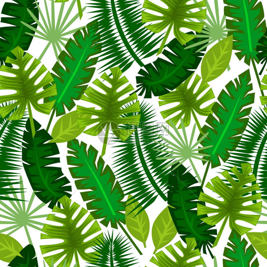 热带树叶无缝模图片