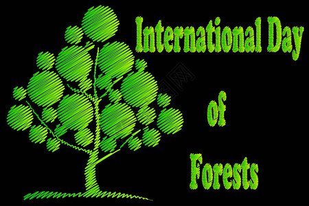 国际森林日自然背景背景图片