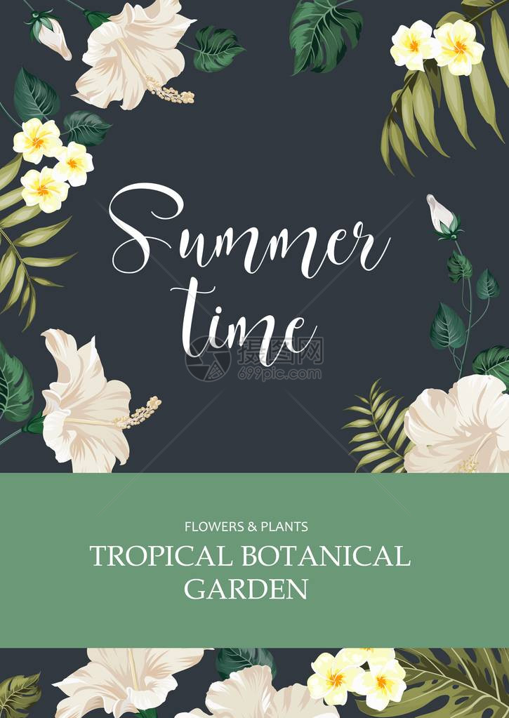 书的封面夏季时间和植物园的文字在绿色背景与花框书籍封面设计上的热带花卉图片
