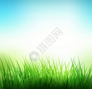 天然绿草背景矢量图图片
